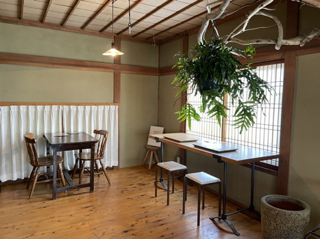 植物屋ARAYAのカフェスペースの写真です